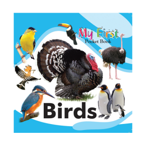 Spotlight Full Birds